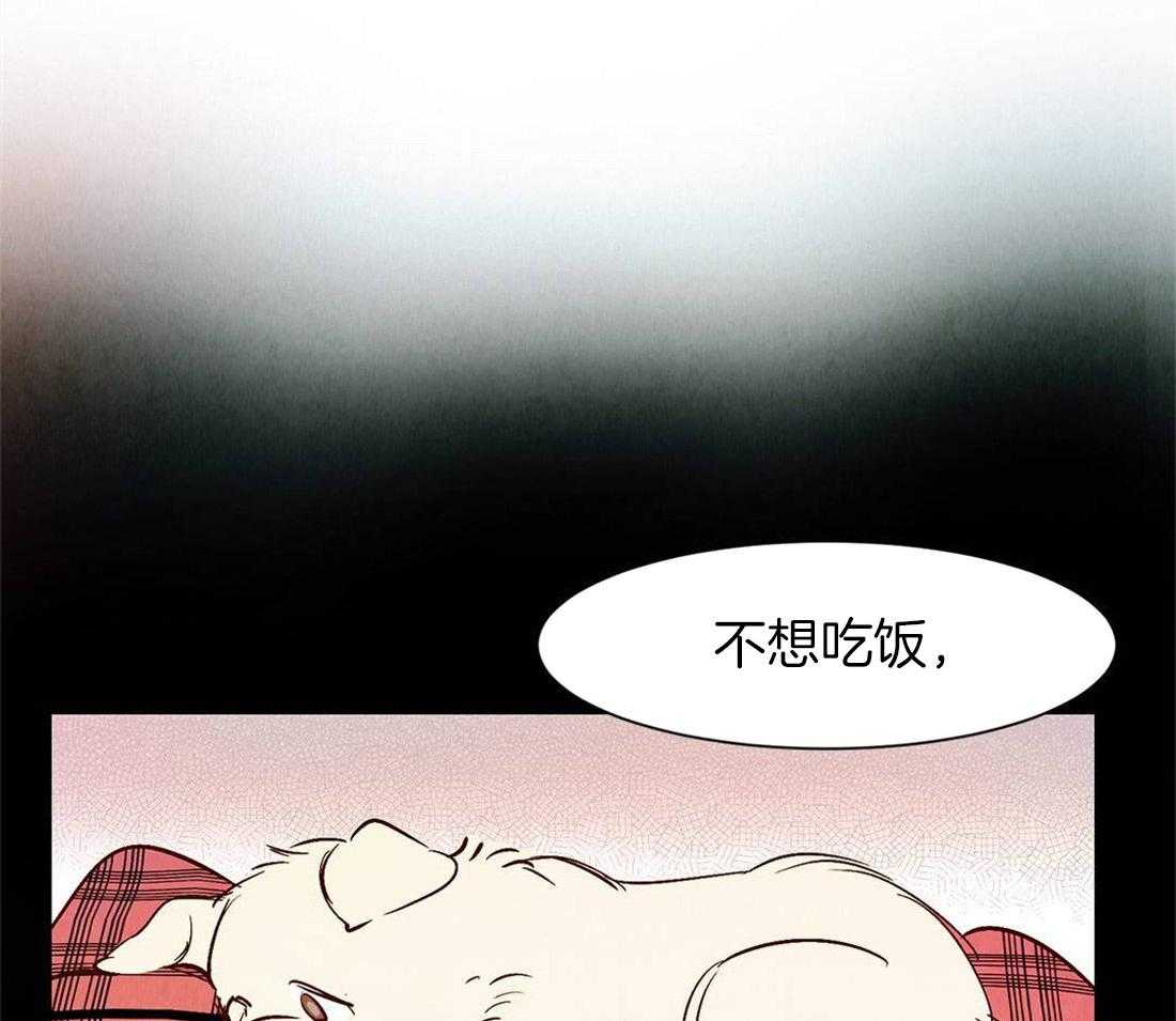 《龙的逆鳞》第40话 寿命将至 第6页