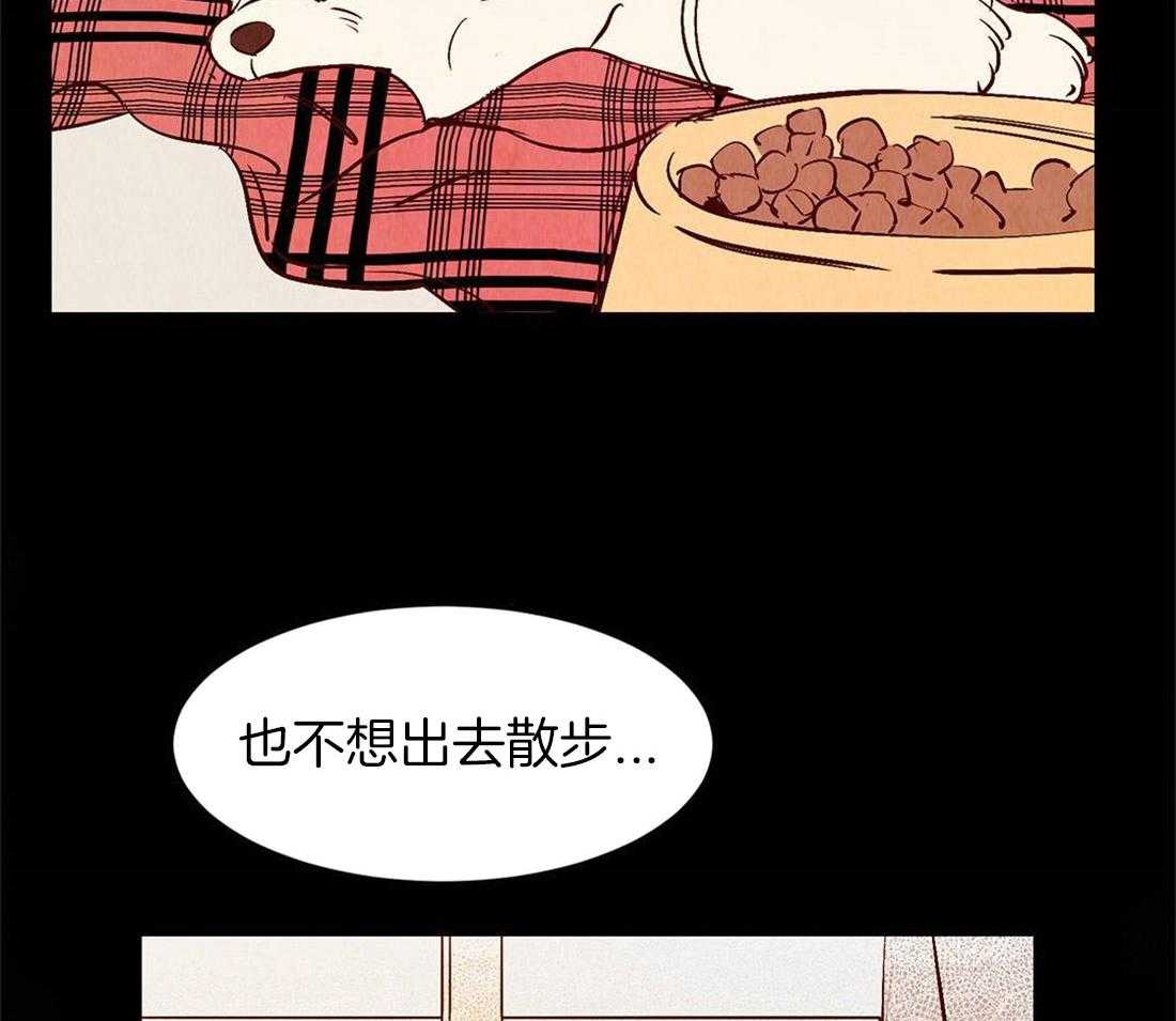 《龙的逆鳞》第40话 寿命将至 第7页