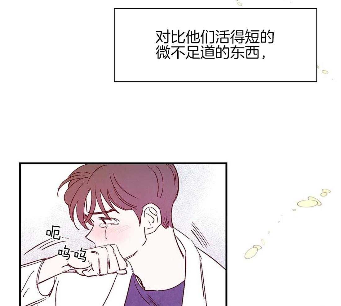 《龙的逆鳞》第44话 喜欢的心（第一季完） 第12页