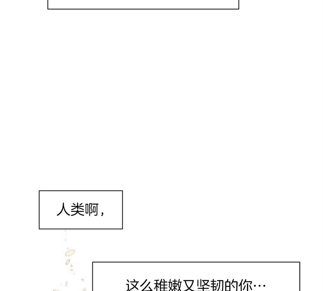 《龙的逆鳞》第44话 喜欢的心（第一季完） 第21页