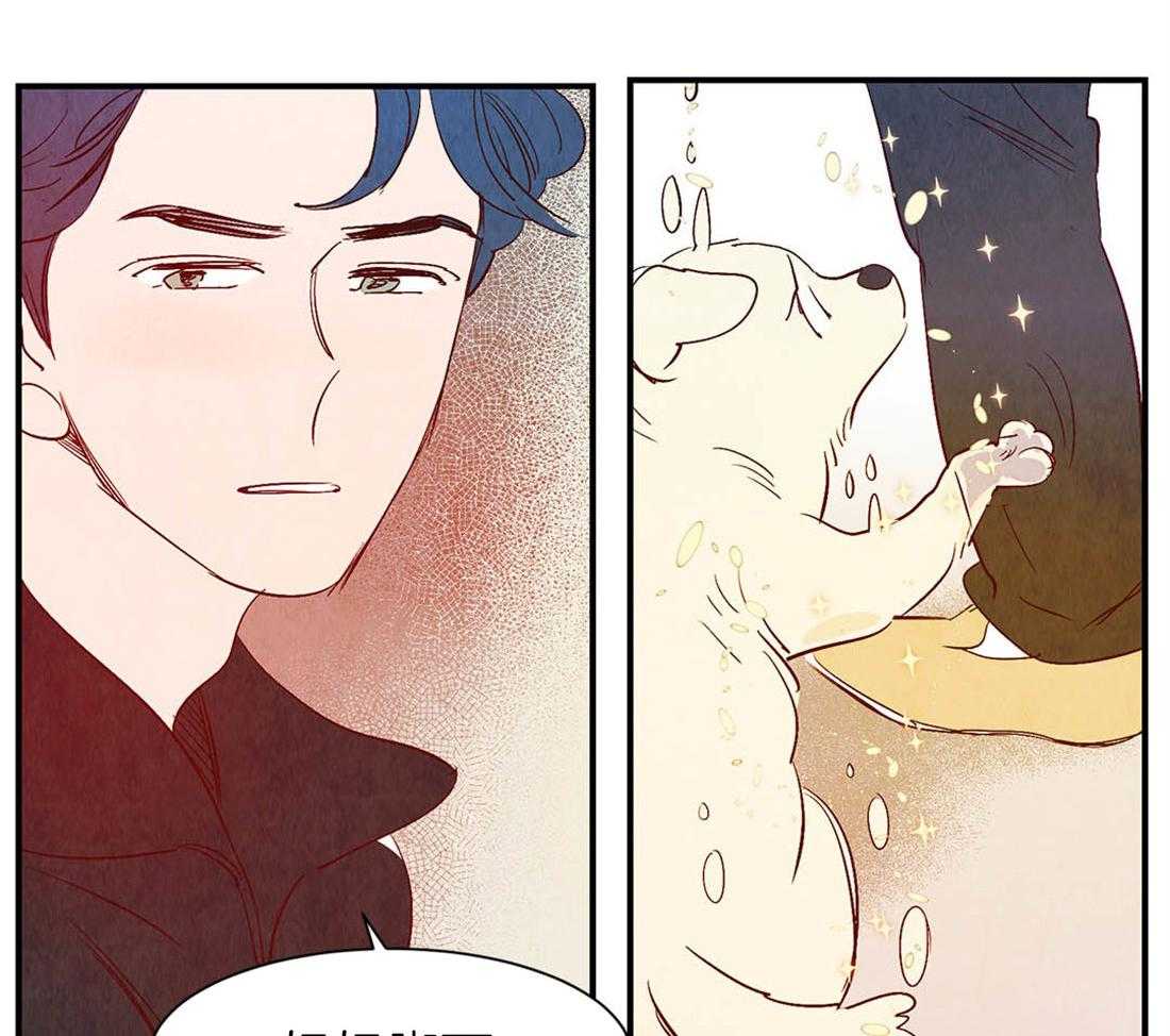 《龙的逆鳞》第43话 爱的话语 第14页
