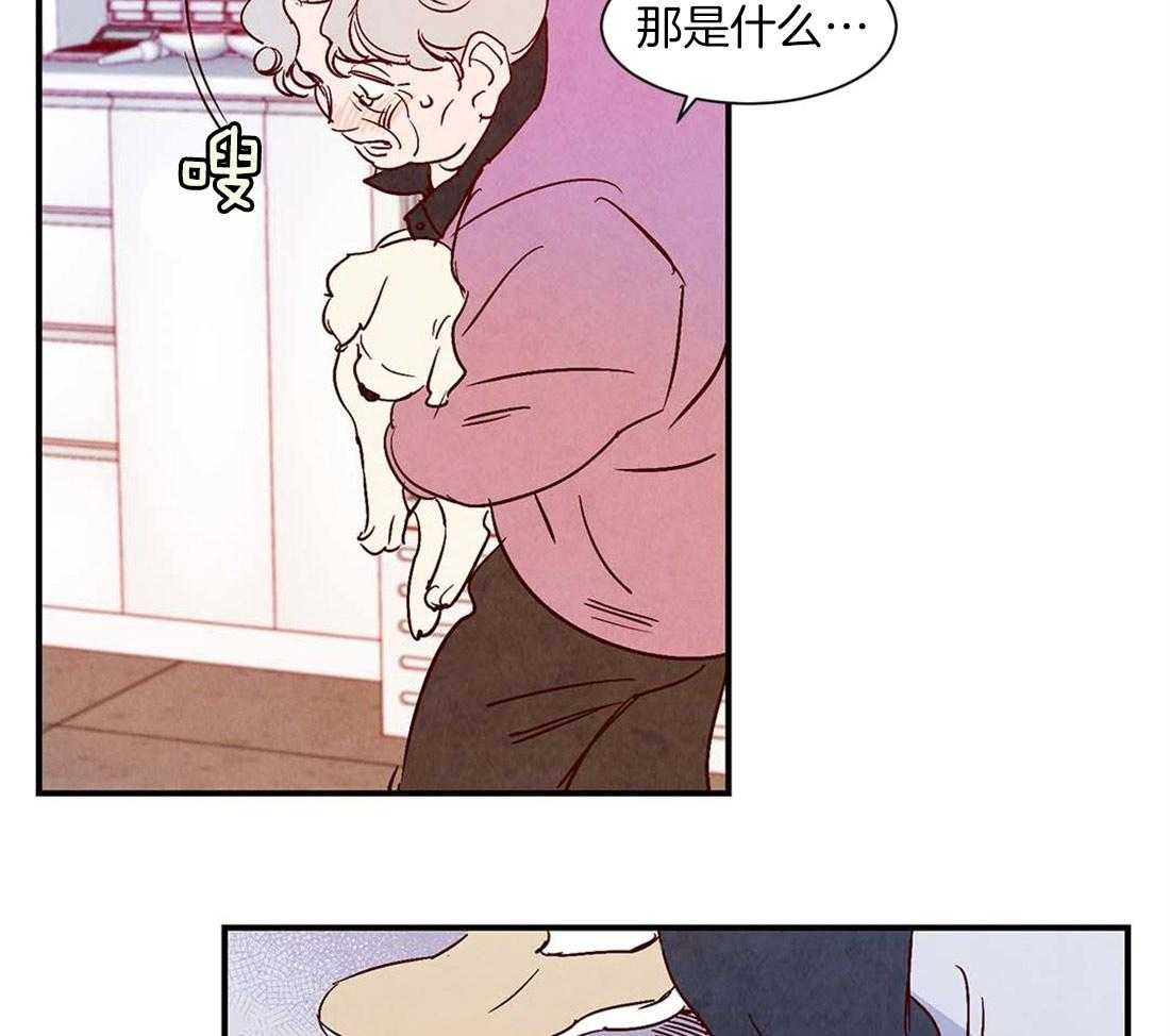 《龙的逆鳞》第43话 爱的话语 第17页