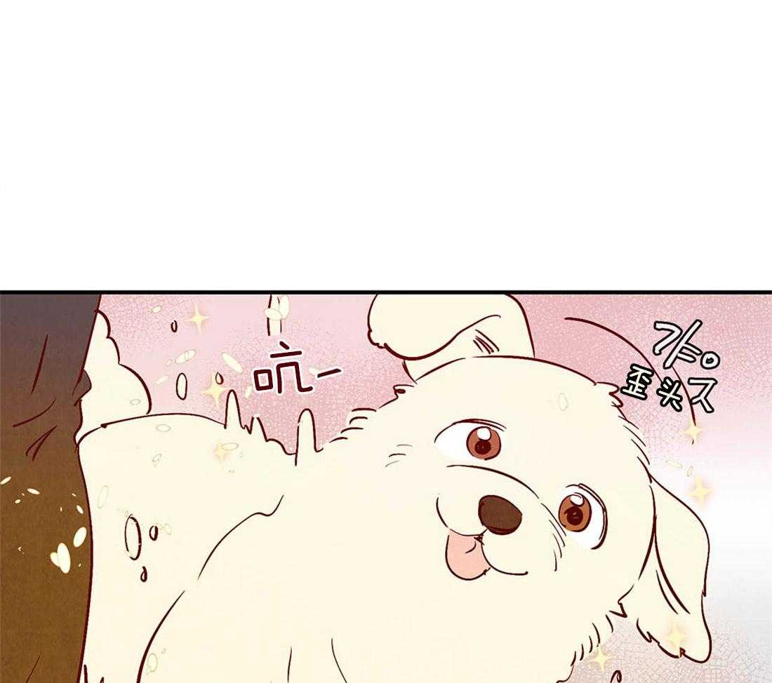 《龙的逆鳞》第43话 爱的话语 第1页