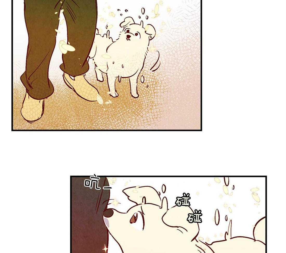 《龙的逆鳞》第43话 爱的话语 第3页