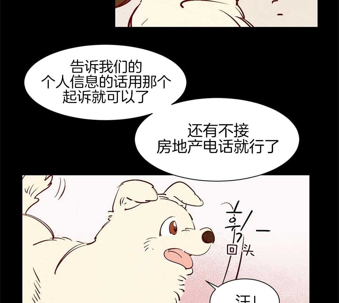 《龙的逆鳞》第45话 狗狗的过去（番外） 第11页