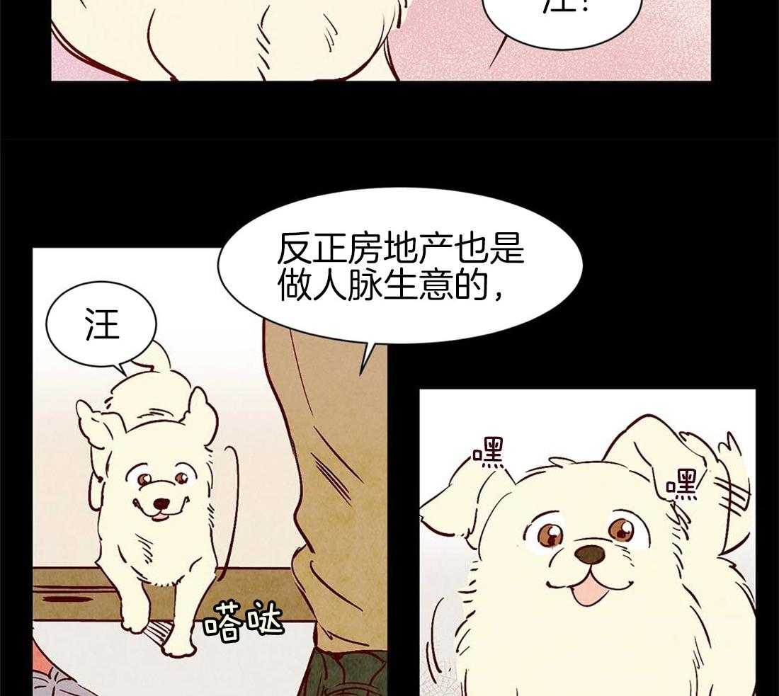 《龙的逆鳞》第45话 狗狗的过去（番外） 第12页