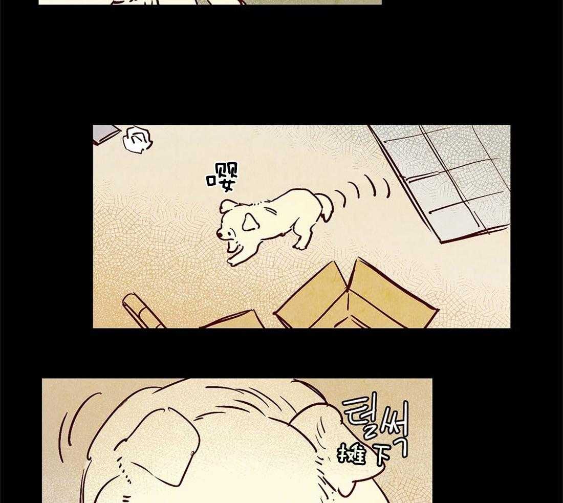 《龙的逆鳞》第45话 狗狗的过去（番外） 第16页