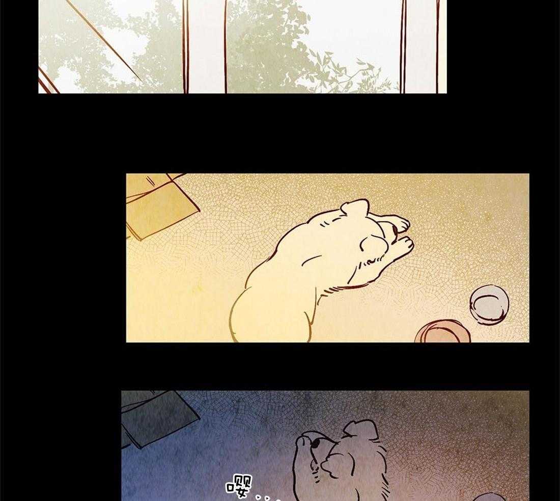 《龙的逆鳞》第45话 狗狗的过去（番外） 第18页
