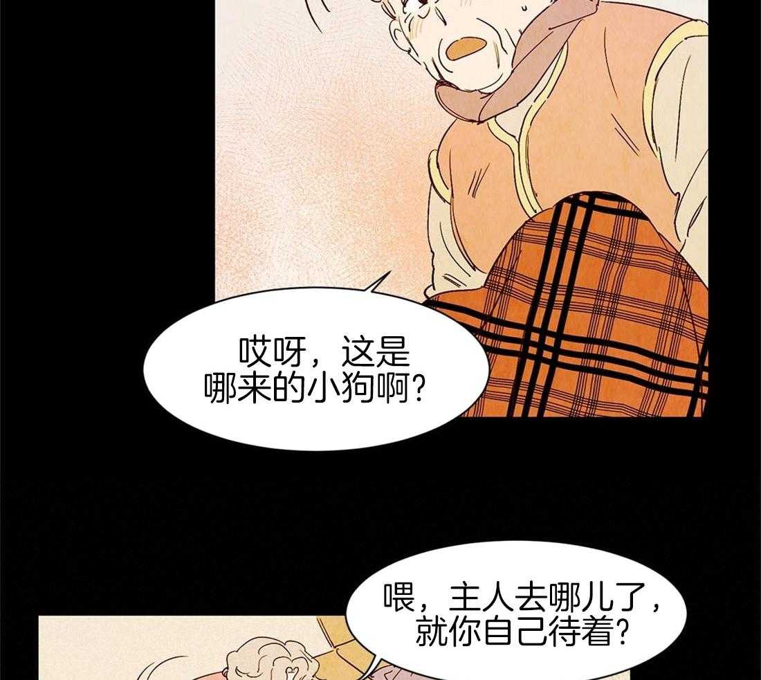 《龙的逆鳞》第45话 狗狗的过去（番外） 第22页
