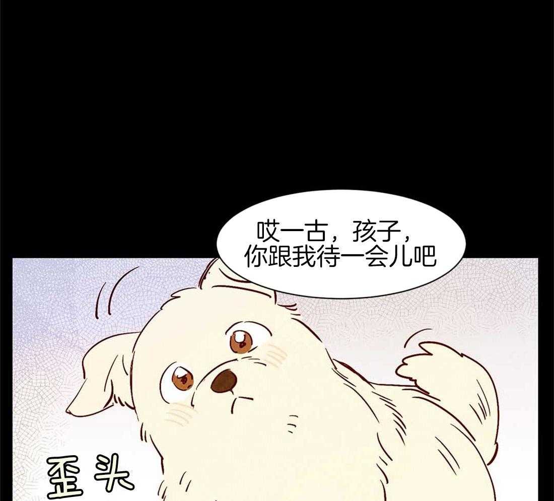 《龙的逆鳞》第45话 狗狗的过去（番外） 第27页