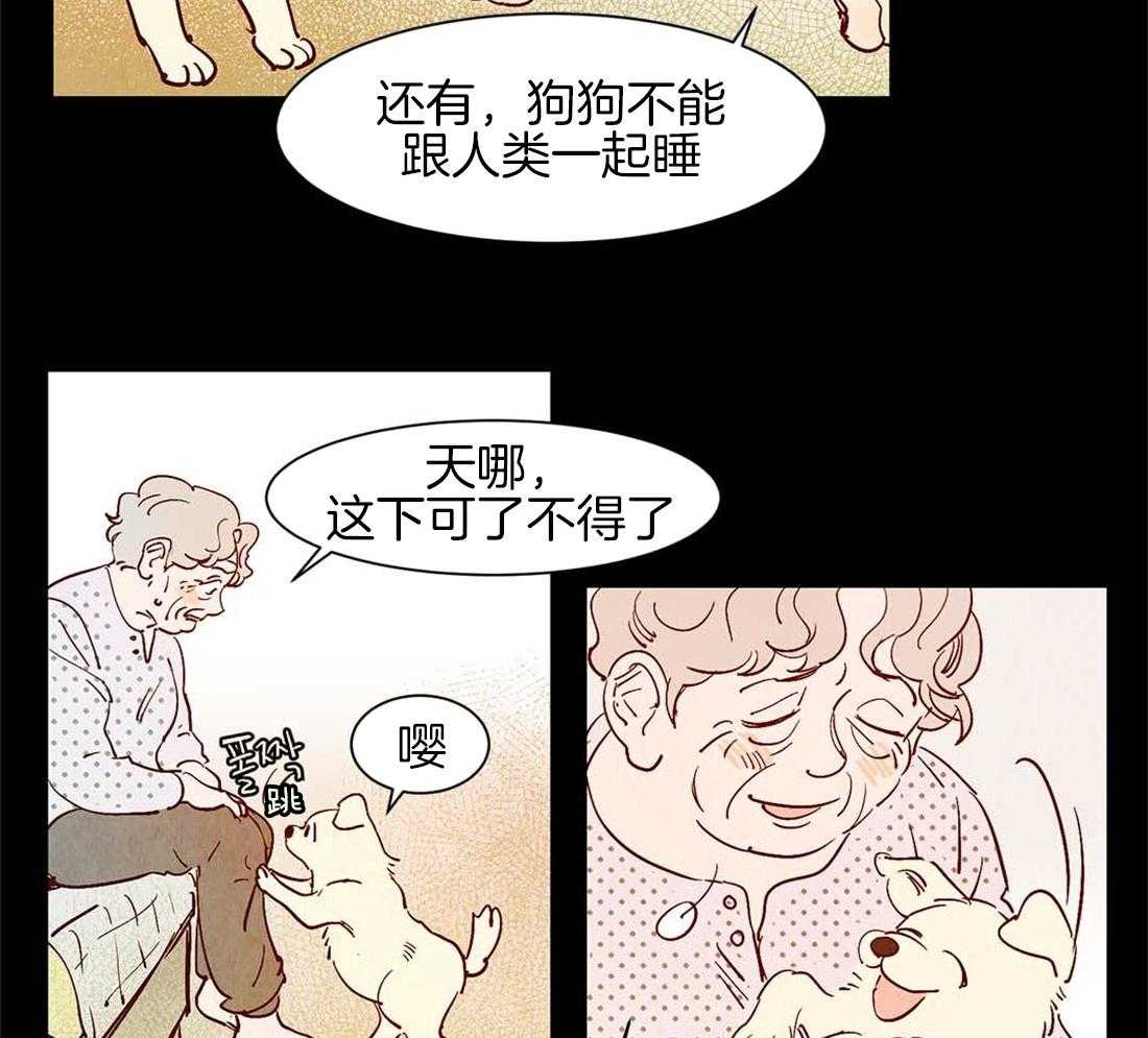 《龙的逆鳞》第45话 狗狗的过去（番外） 第29页