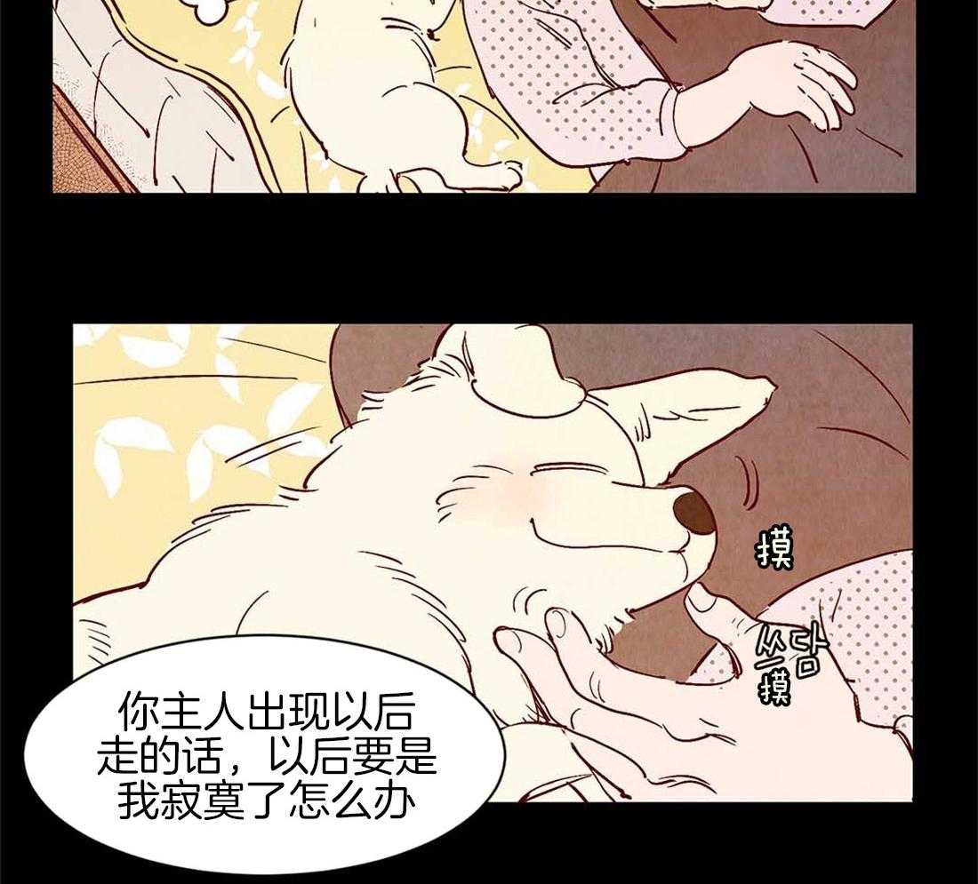 《龙的逆鳞》第45话 狗狗的过去（番外） 第31页