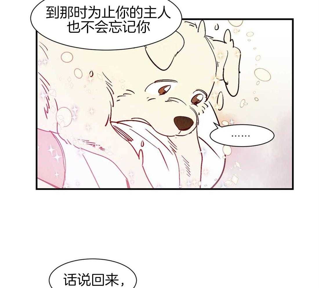 《龙的逆鳞》第45话 狗狗的过去（番外） 第39页