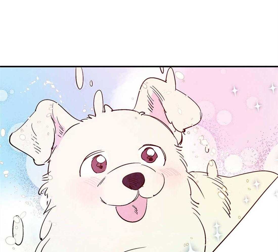 《龙的逆鳞》第45话 狗狗的过去（番外） 第41页