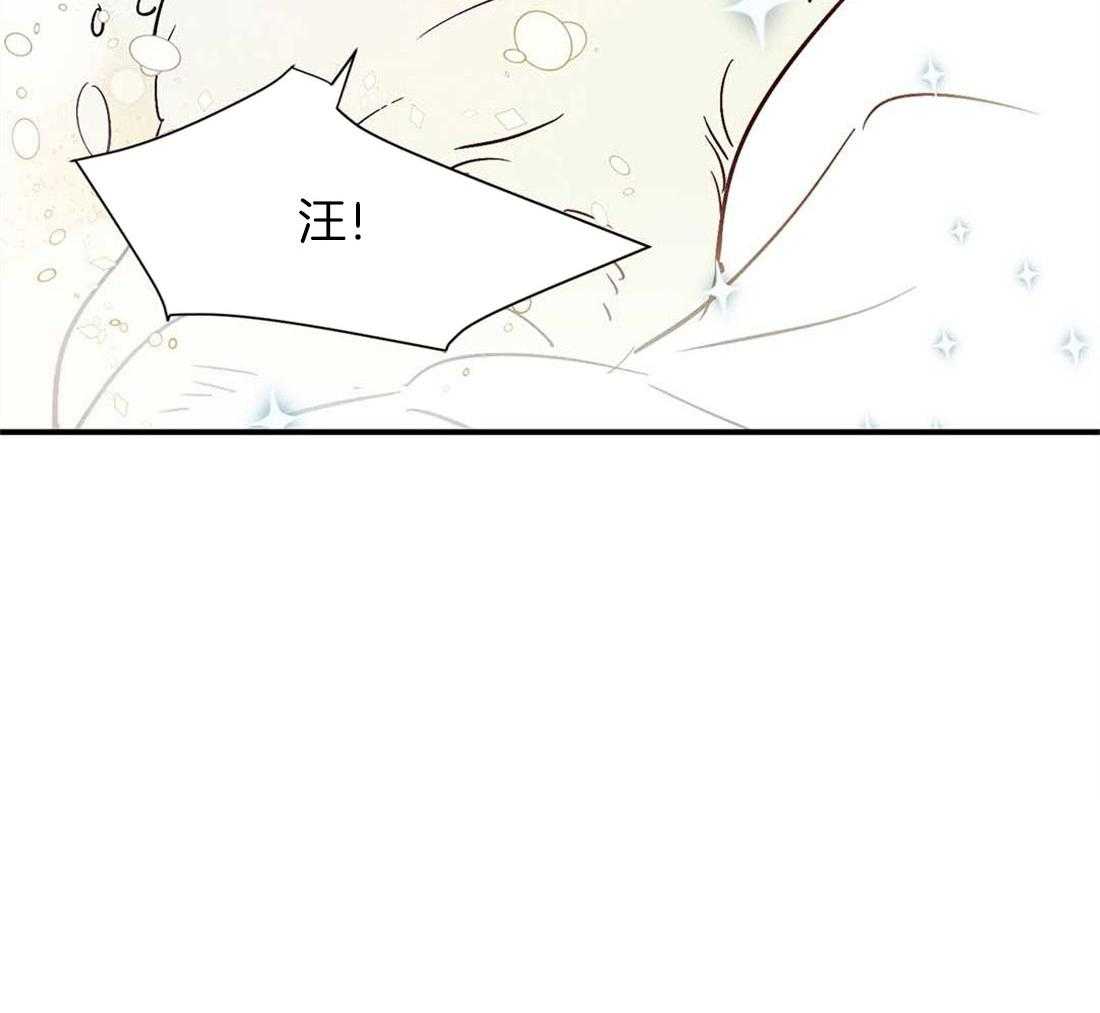 《龙的逆鳞》第45话 狗狗的过去（番外） 第42页