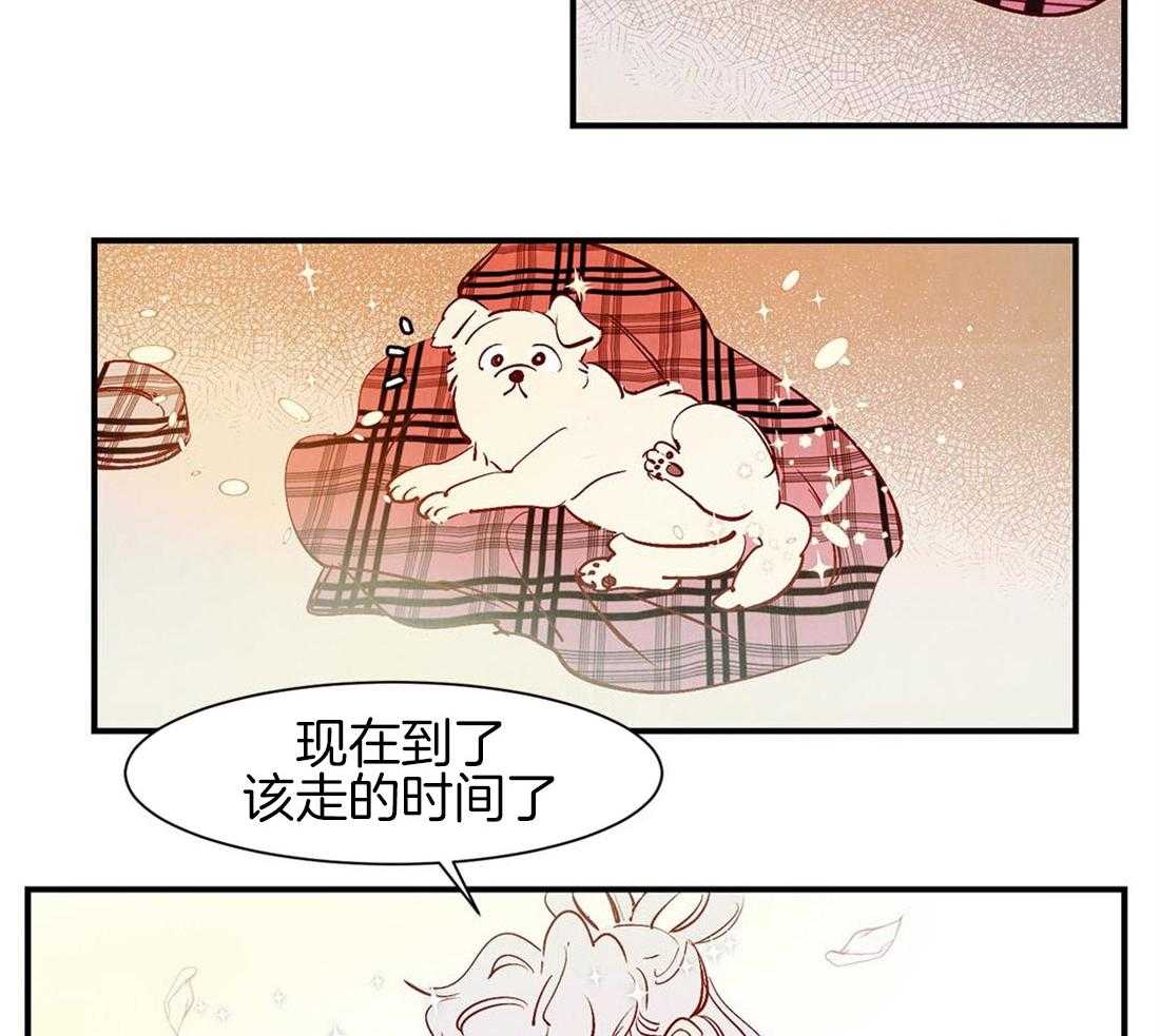 《龙的逆鳞》第45话 狗狗的过去（番外） 第4页