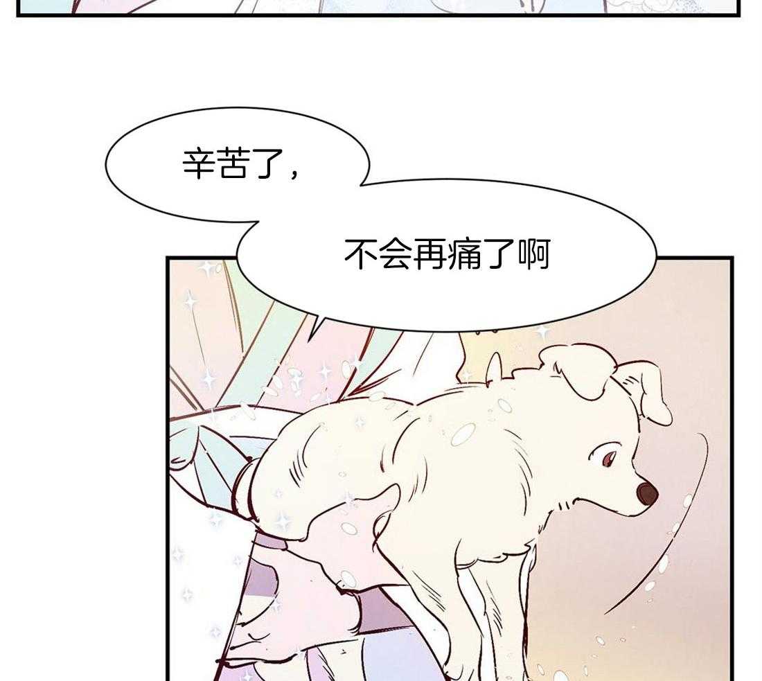 《龙的逆鳞》第45话 狗狗的过去（番外） 第6页