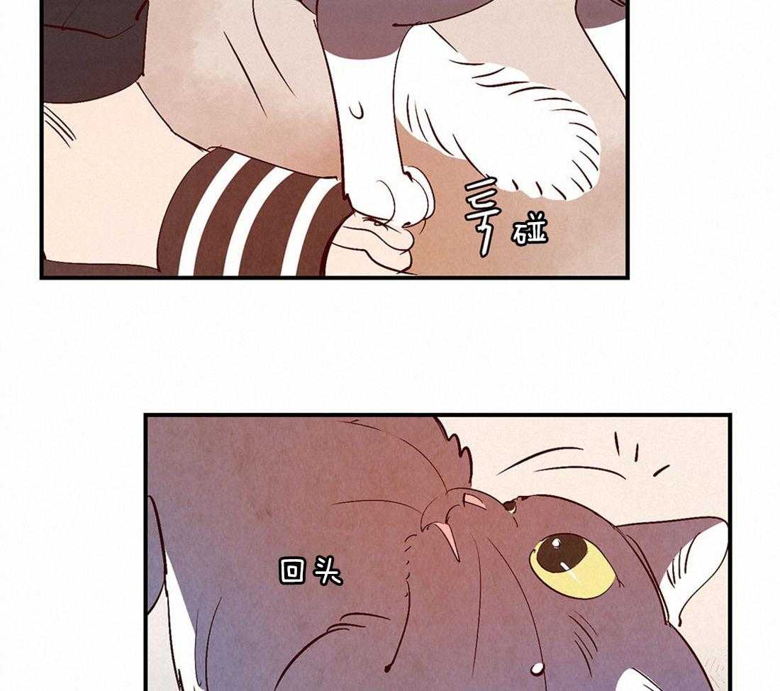 《龙的逆鳞》第48话 虚弱 第10页