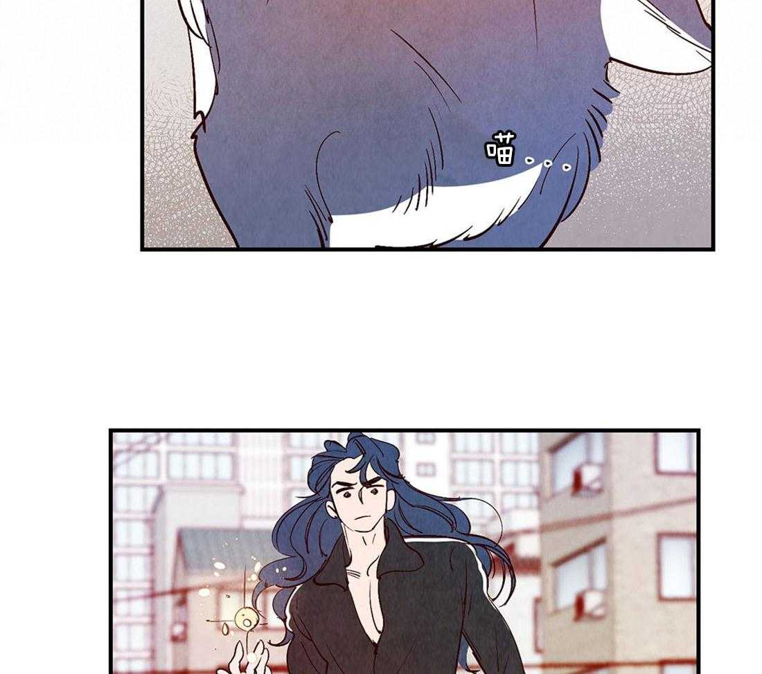 《龙的逆鳞》第48话 虚弱 第11页