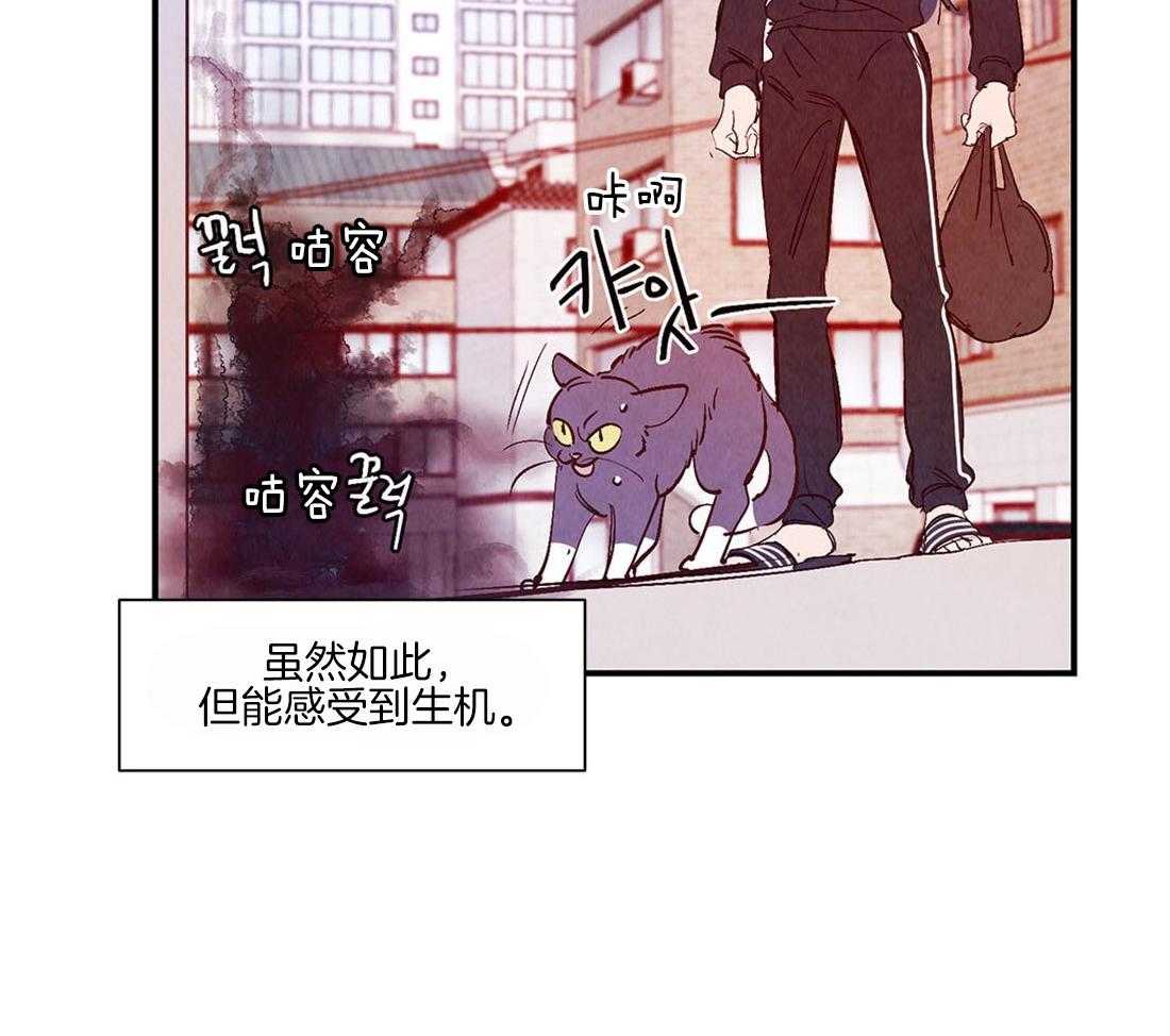 《龙的逆鳞》第48话 虚弱 第3页