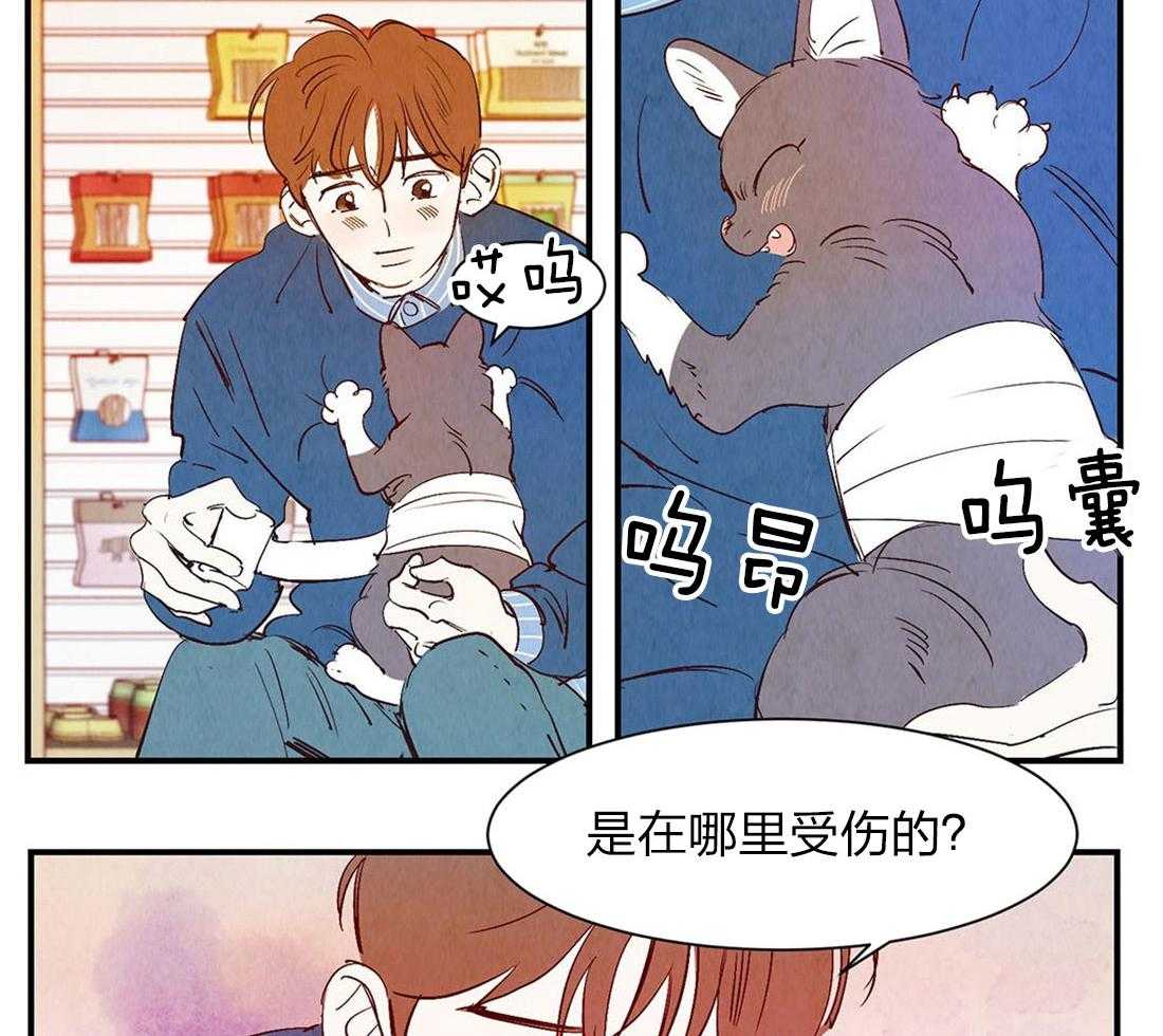 《龙的逆鳞》第51话 龙的管理 第11页
