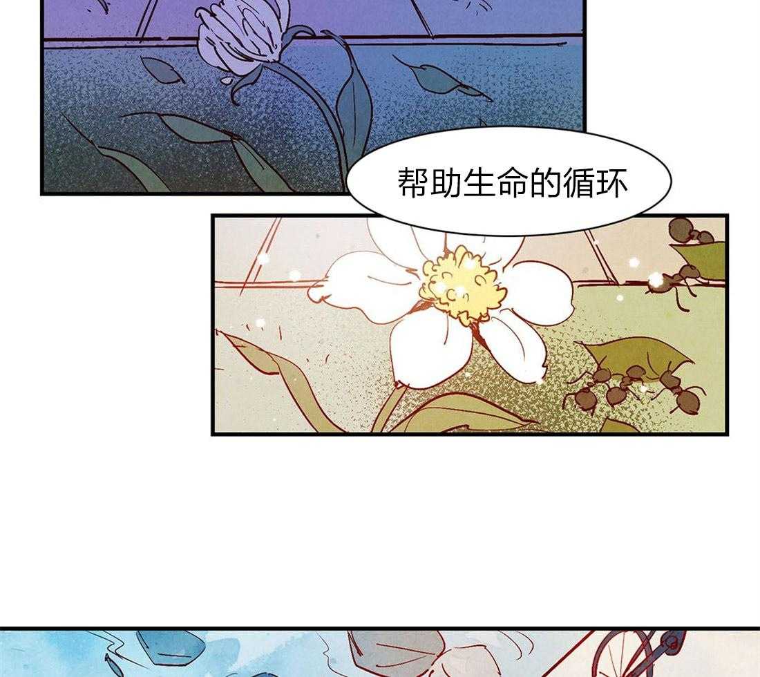 《龙的逆鳞》第51话 龙的管理 第24页