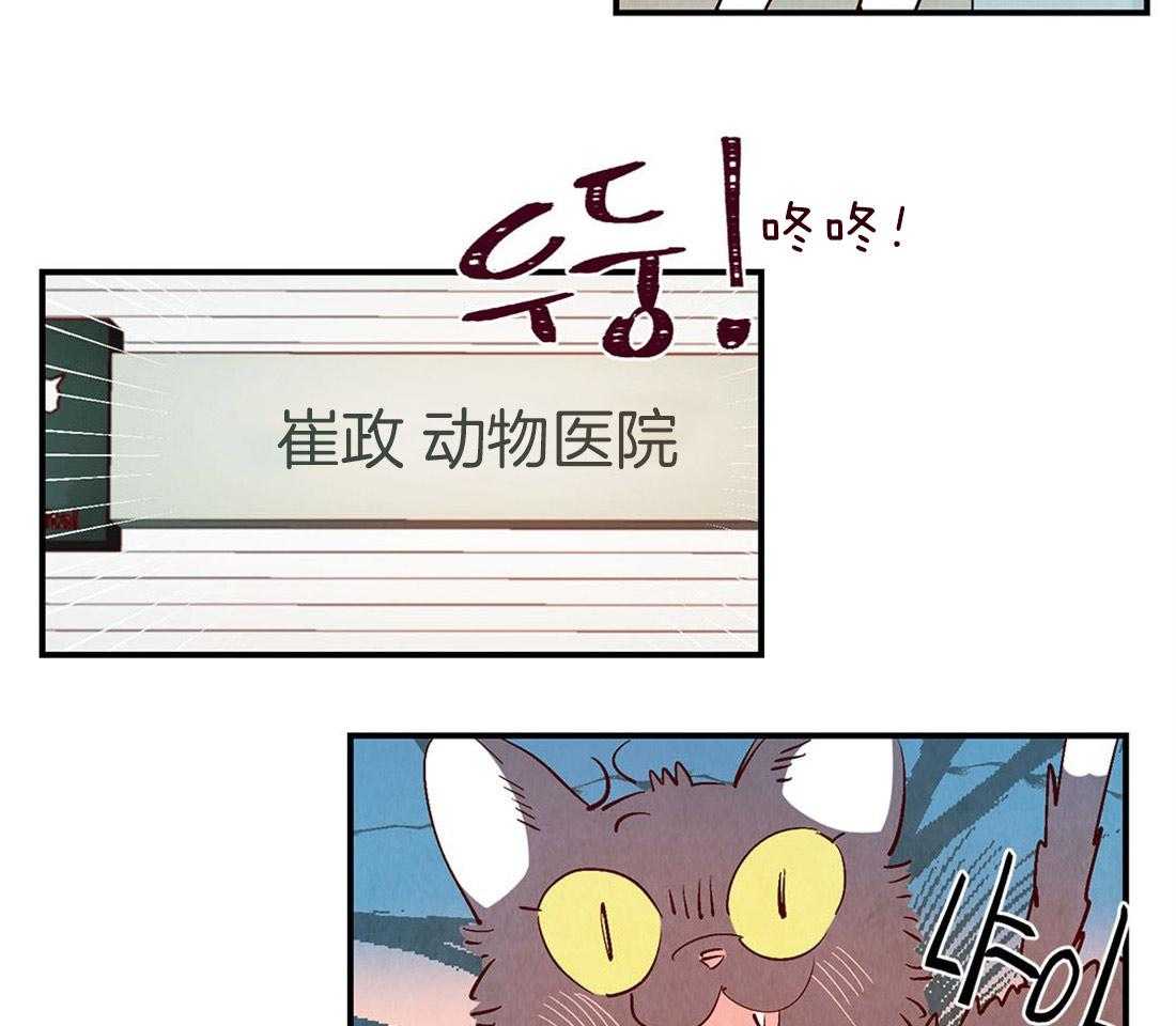 《龙的逆鳞》第49话 前往医院 第13页