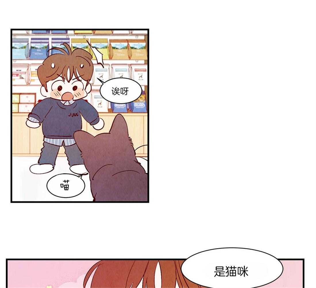 《龙的逆鳞》第50话 幼稚的嫉妒 第10页