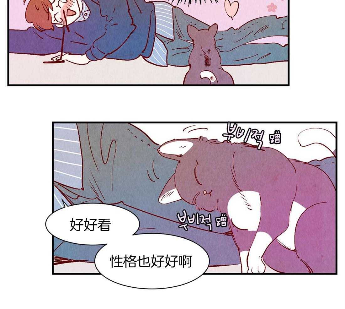 《龙的逆鳞》第50话 幼稚的嫉妒 第15页