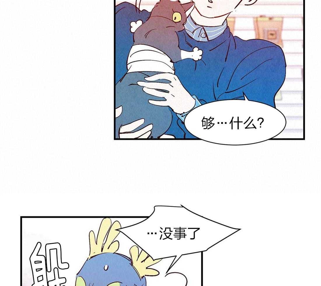 《龙的逆鳞》第52话 疯狂心动 第17页