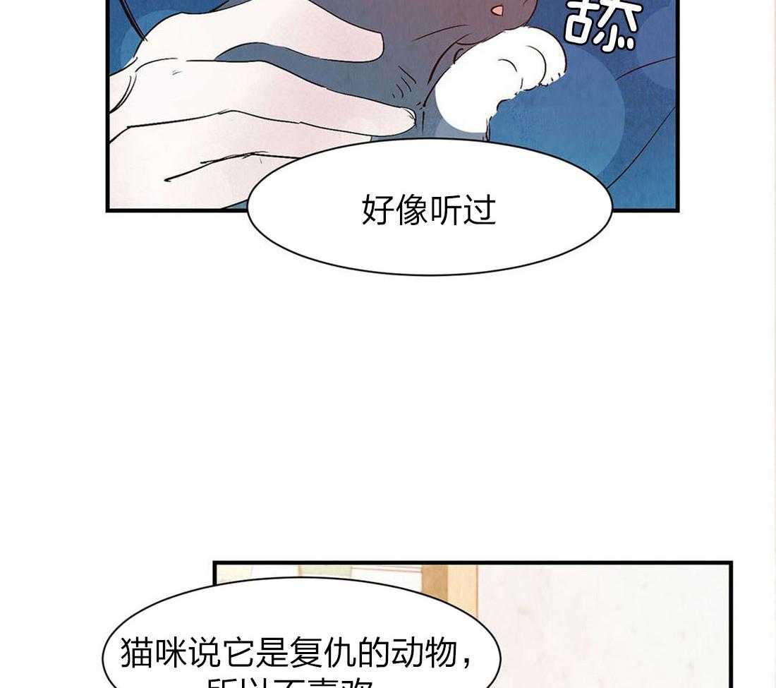 《龙的逆鳞》第53话 自有天谴 第16页