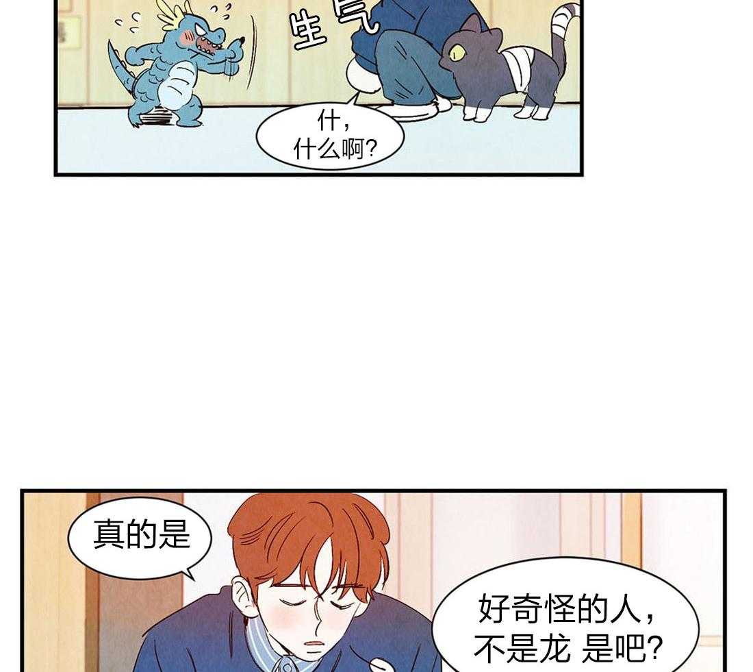 《龙的逆鳞》第53话 自有天谴 第5页