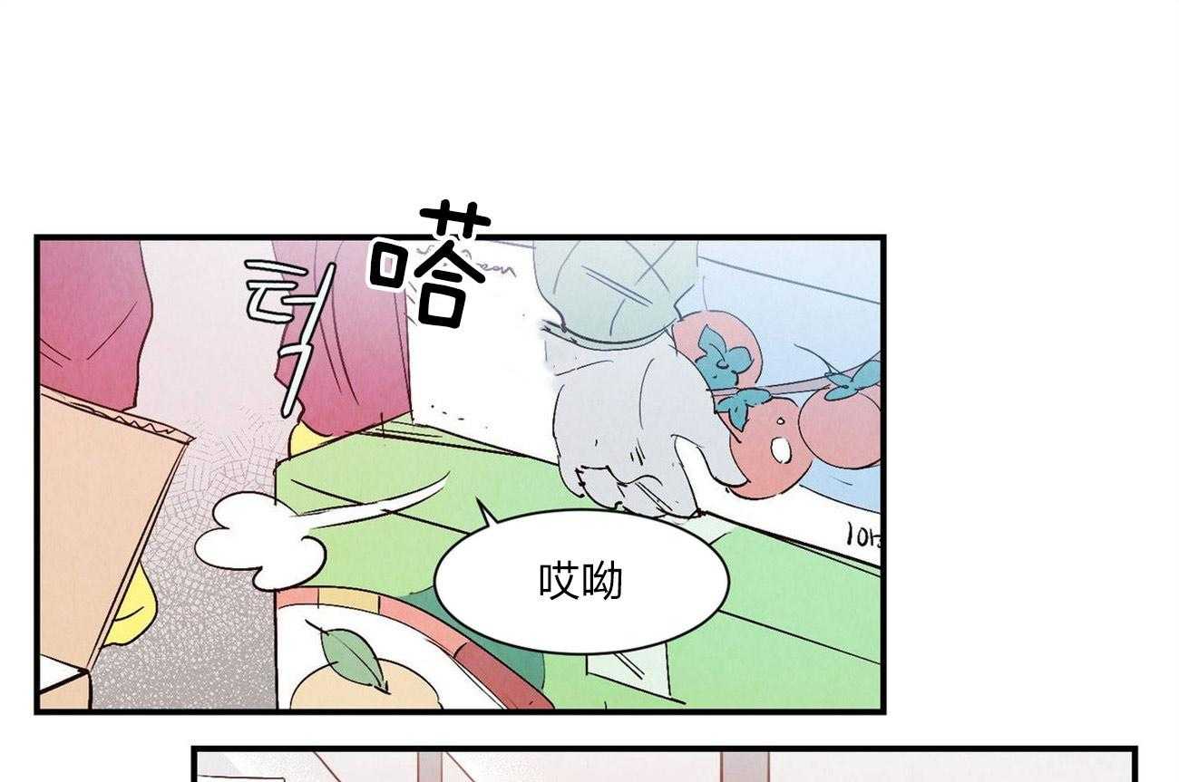 《龙的逆鳞》第60话 整理关系 第1页