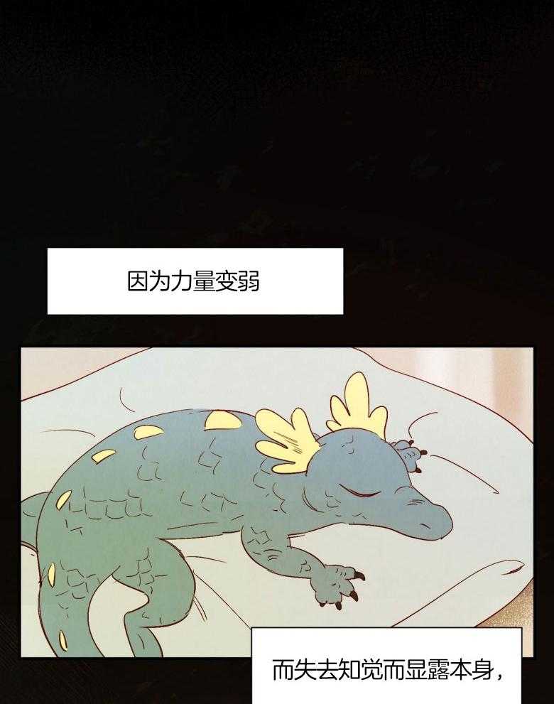 《龙的逆鳞》第73话 流血不止 第11页