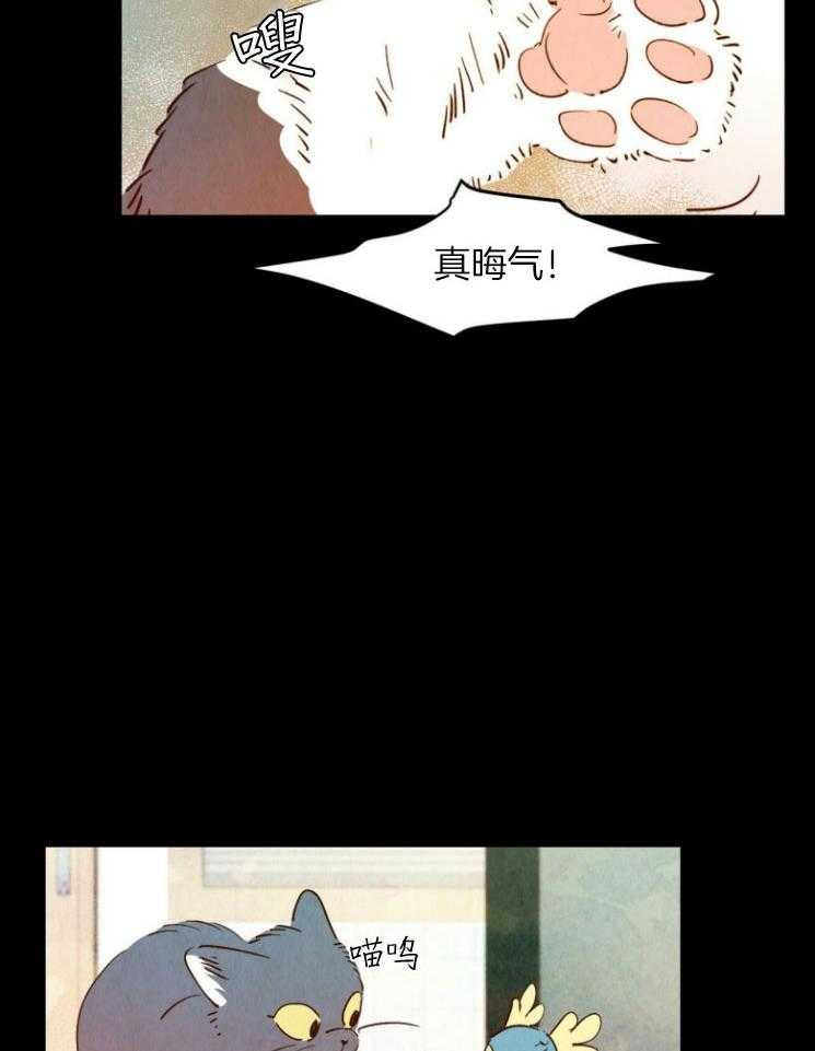 《龙的逆鳞》第79话 报恩心切 第18页