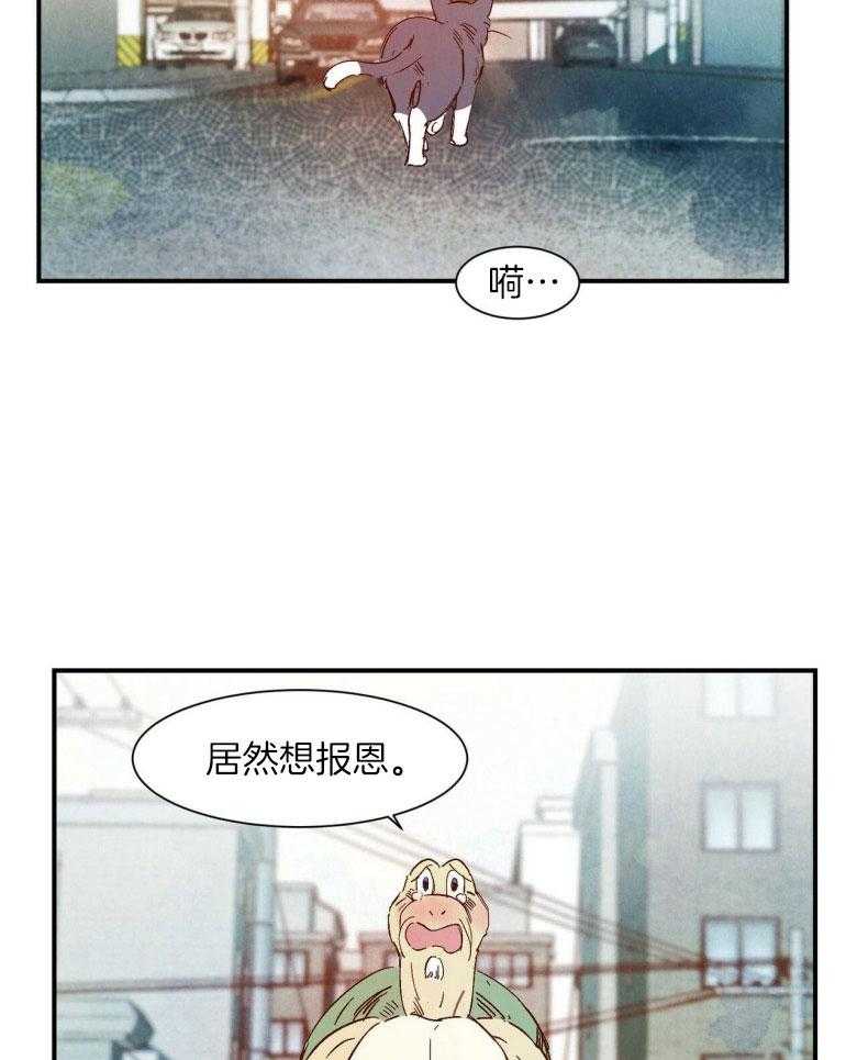 《龙的逆鳞》第79话 报恩心切 第6页