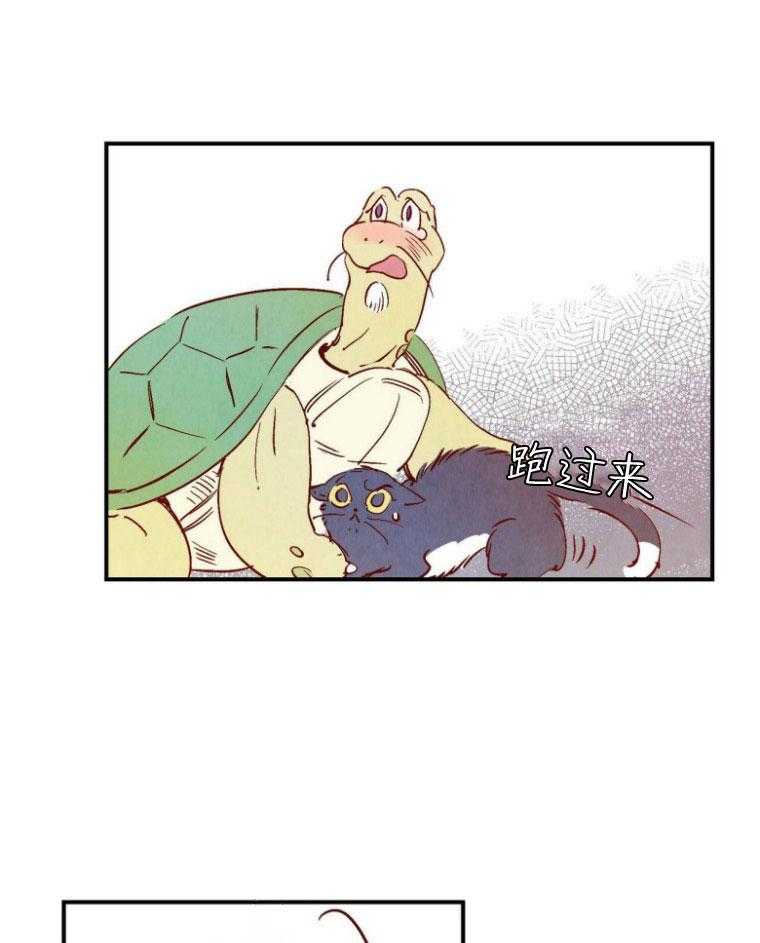 《龙的逆鳞》第77话 身份不同 第13页