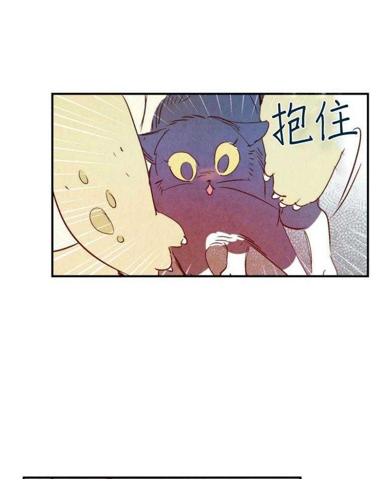 《龙的逆鳞》第77话 身份不同 第2页
