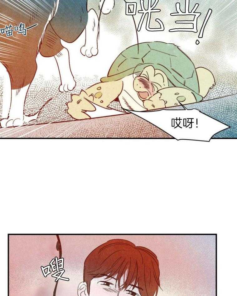 《龙的逆鳞》第77话 身份不同 第5页