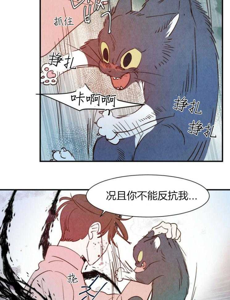 《龙的逆鳞》第80话 威逼利诱 第11页