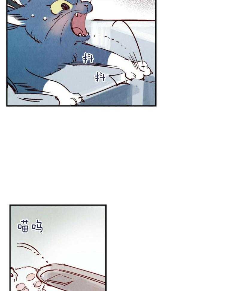 《龙的逆鳞》第83话 共度一生的恋人 第19页