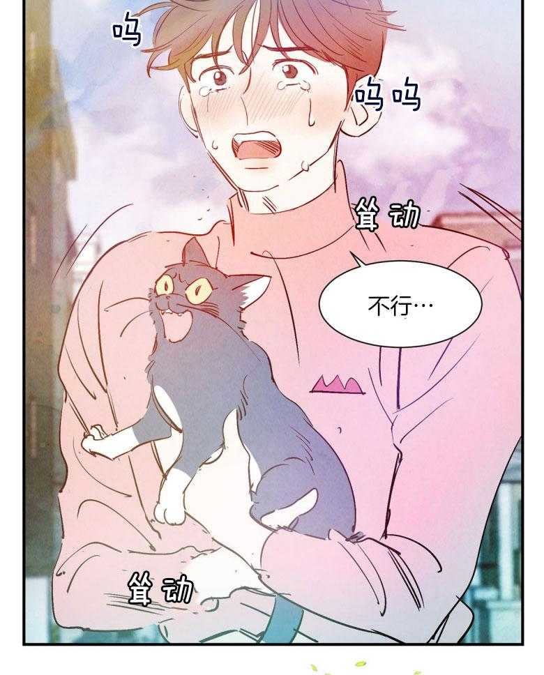 《龙的逆鳞》第88话 我的逆鳞 第26页