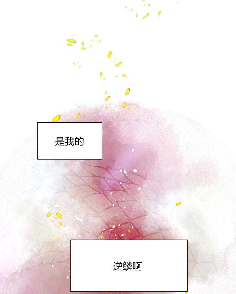 《龙的逆鳞》第88话 我的逆鳞 第27页