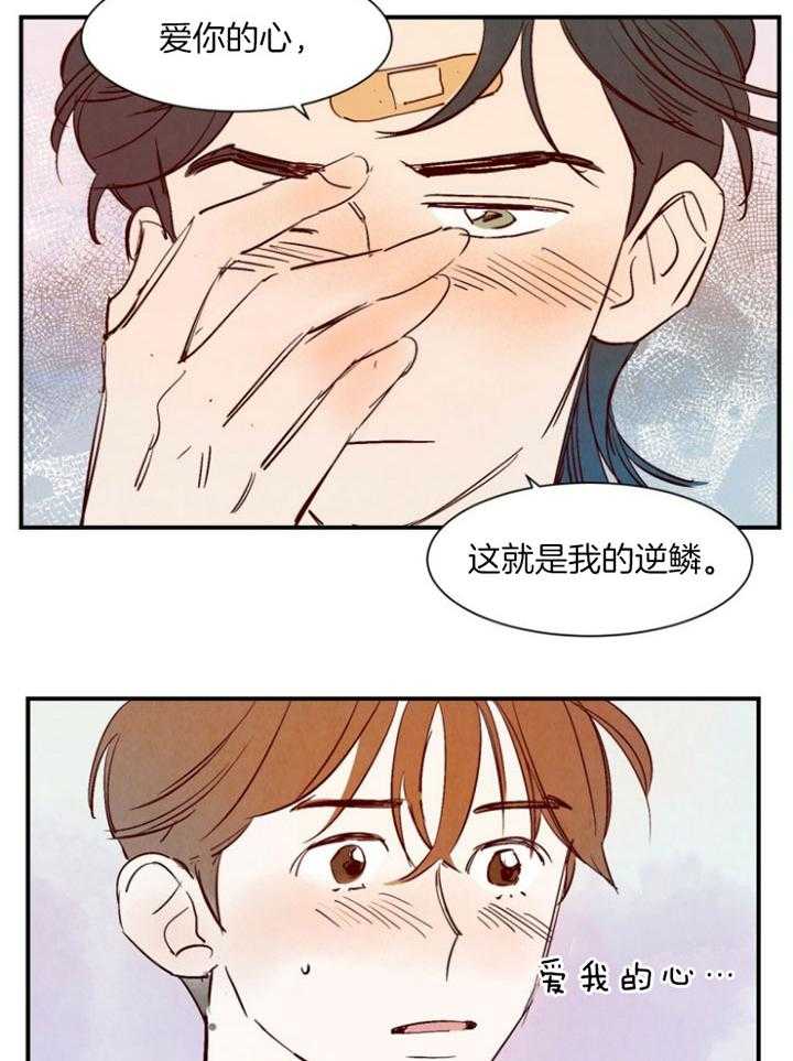 《龙的逆鳞》第91话 爱你的心 第13页