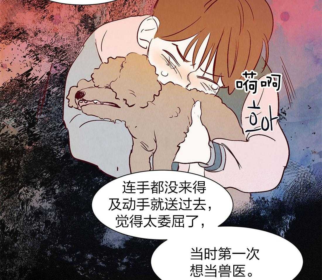《龙的逆鳞》第55话 当兽医的契机 第28页