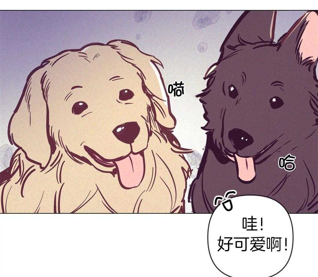 《讹上大佬的后果》第62话 听墙角 第11页