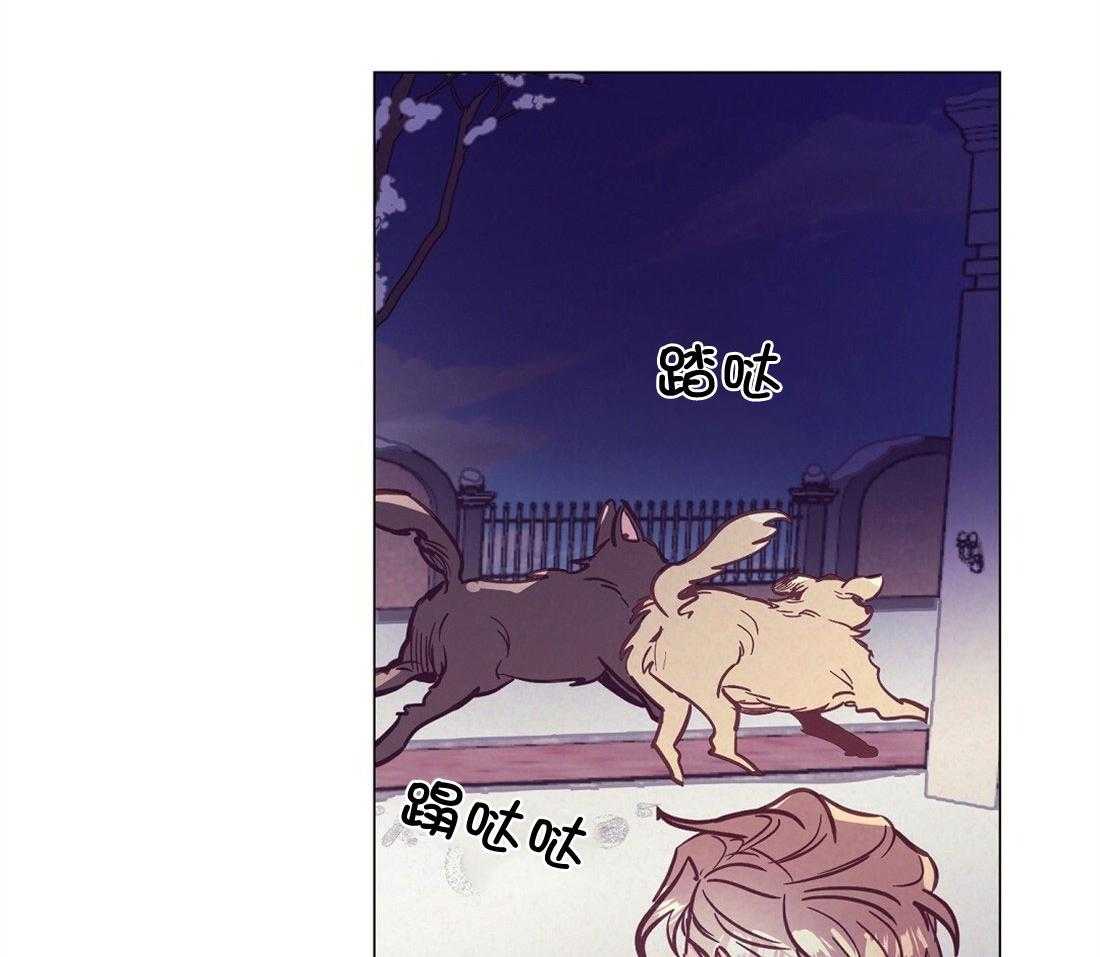 《讹上大佬的后果》第62话 听墙角 第14页