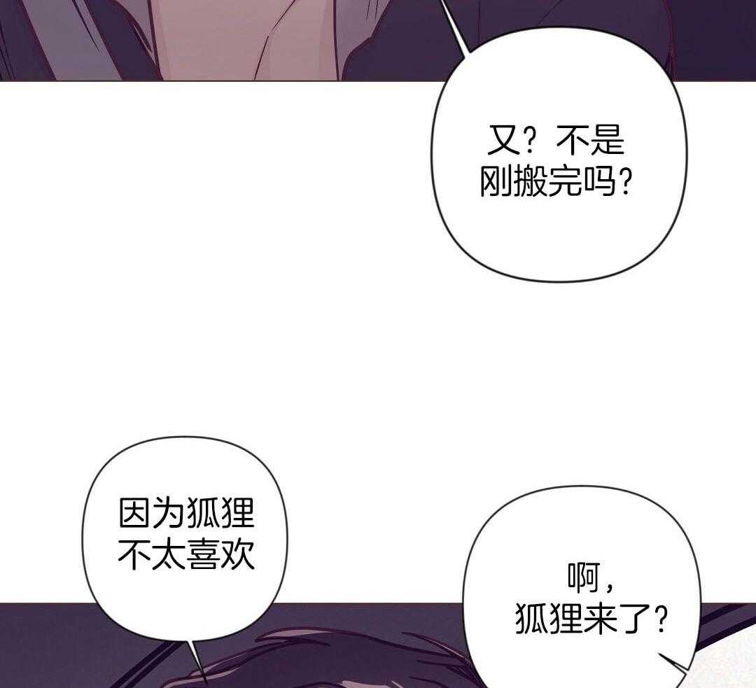 《讹上大佬的后果》第52话 很爱小狐狸 第15页