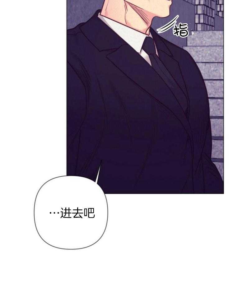 《讹上大佬的后果》第48话 过度保护 第13页