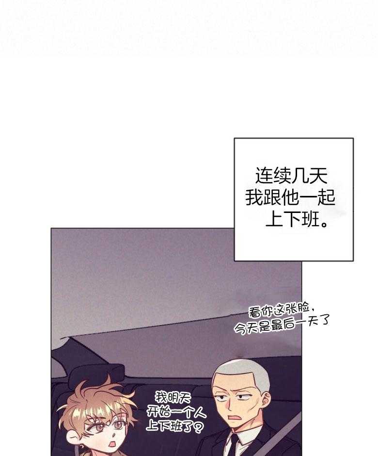 《讹上大佬的后果》第48话 过度保护 第1页